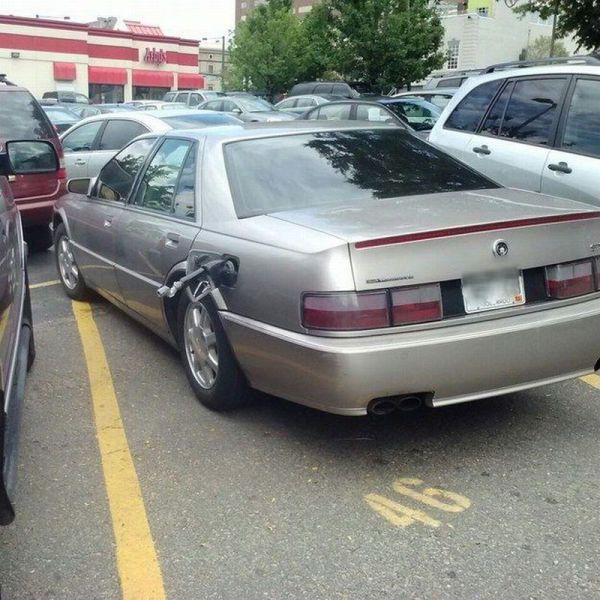 morning picdump 55 pics 1.html - 55 HD Photos | Premium Gallery 2014