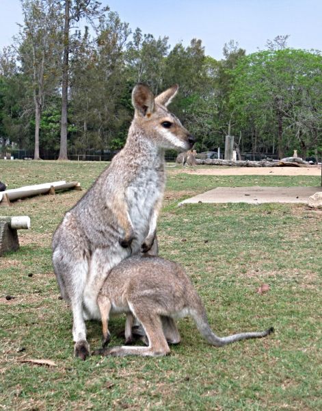 morning picdump 56 pics 23.html - 56 HD Photos | Premium Gallery 2014