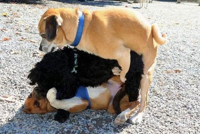 morning picdump 56 pics 23.html - 56 HD Photos | Premium Gallery 2014