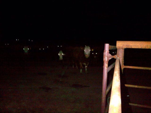 morning picdump 56 pics 23.html - 56 HD Photos | Premium Gallery 2014