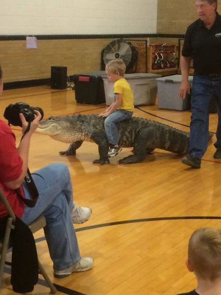 morning picdump 51 pics 15.html - 51 HD Photos | Premium Gallery 2014