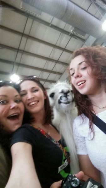 morning picdump 51 pics 15.html - 51 HD Photos | Premium Gallery 2014