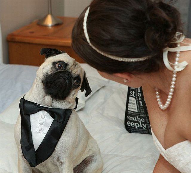 morning picdump 57 pics 14.html - 57 HD Photos | Premium Gallery 2014