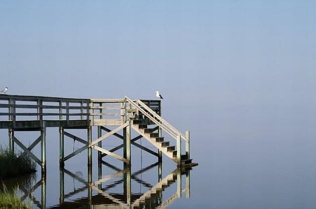 morning picdump 57 pics 14.html - 57 HD Photos | Premium Gallery 2014