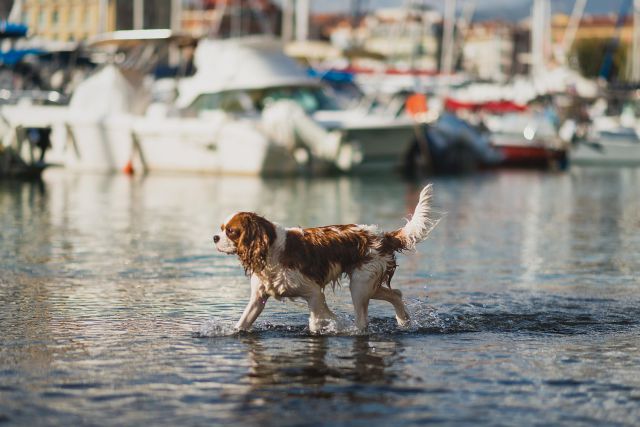 morning picdump 57 pics 14.html - 57 HD Photos | Premium Gallery 2014