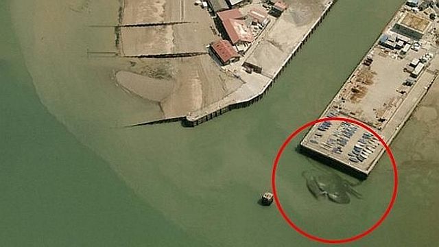 morning picdump 55 pics 53.html - 55 HD Photos | Premium Gallery 2014