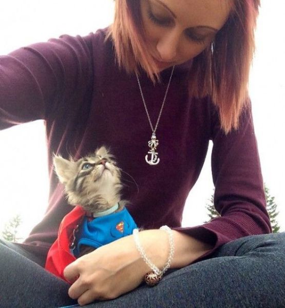 morning picdump 55 pics 53.html - 55 HD Photos | Premium Gallery 2014