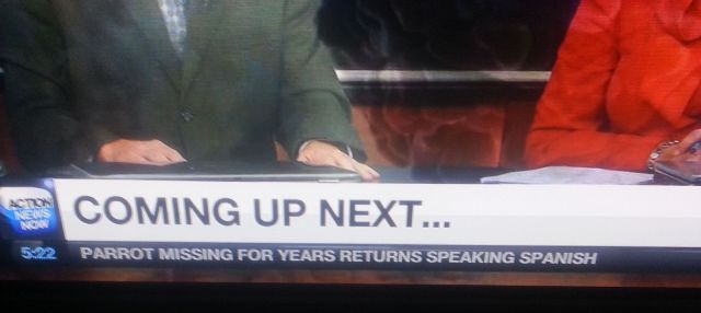 morning picdump 55 pics 53.html - 55 HD Photos | Premium Gallery 2014