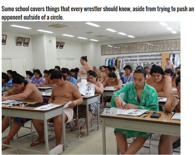 Becoming a Sumo Wrestler Is Harder Than You Think