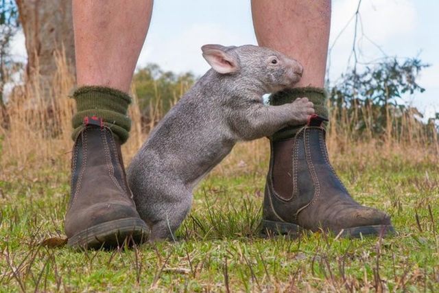 morning picdump 55 pics 17.html - 55 HD Photos | Premium Gallery 2014