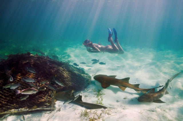 This Woman Could Be a Real Life Mermaid