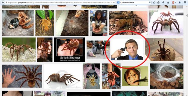 morning picdump 56 pics 17.html - 56 HD Photos | Premium Gallery 2014