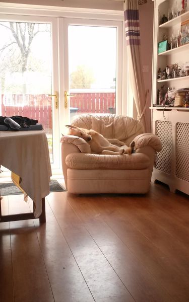 morning picdump 56 pics 17.html - 56 HD Photos | Premium Gallery 2014