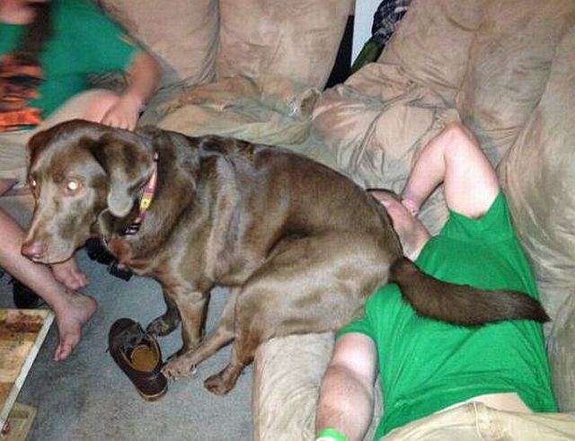 morning picdump 56 pics 17.html - 56 HD Photos | Premium Gallery 2014