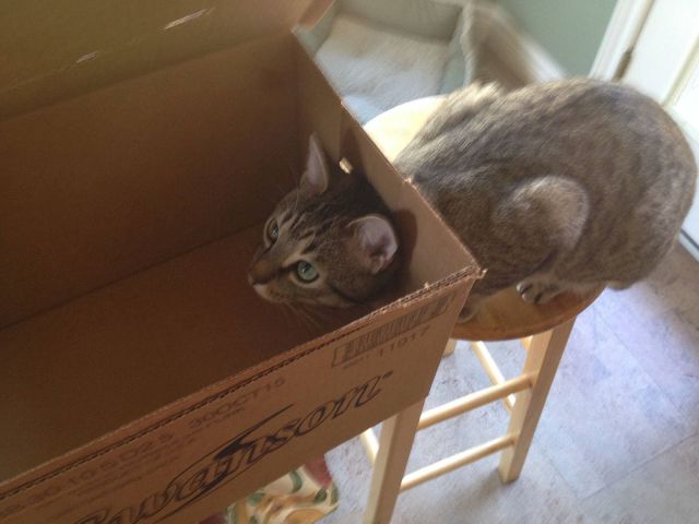 morning picdump 56 pics 17.html - 56 HD Photos | Premium Gallery 2014