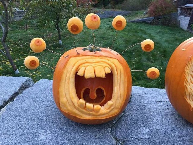 morning picdump 61 pics 18.html - 61 HD Photos | Premium Gallery 2014