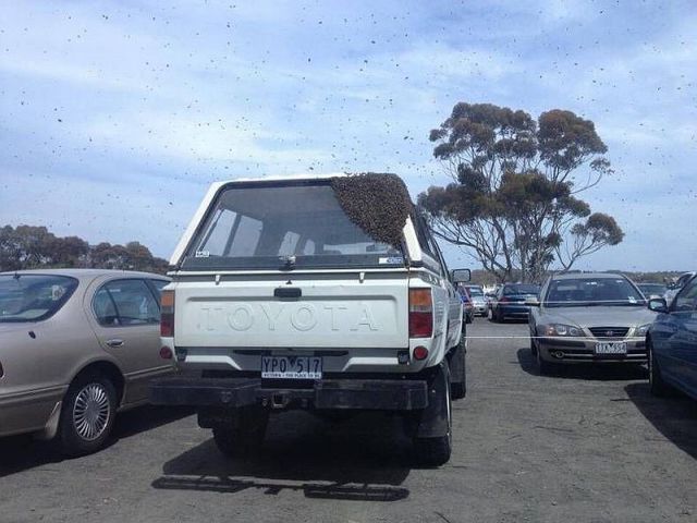 morning picdump 61 pics 18.html - 61 HD Photos | Premium Gallery 2014