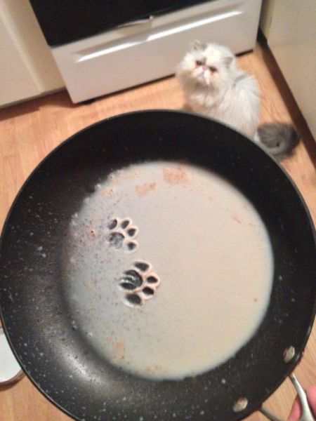 morning picdump 61 pics 18.html - 61 HD Photos | Premium Gallery 2014