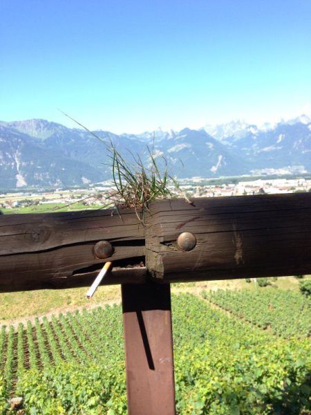 morning picdump 61 pics 18.html - 61 HD Photos | Premium Gallery 2014