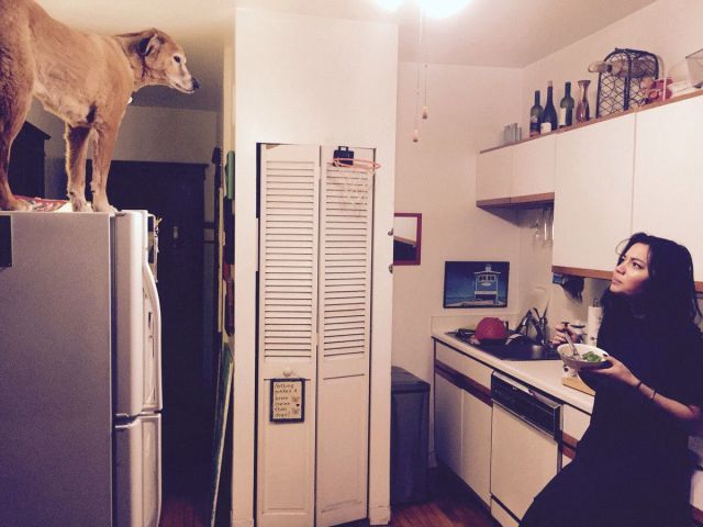 daily picdump 97 pics 3.html - 97 HD Photos | Premium Gallery 2014