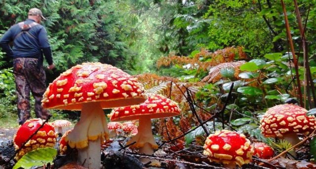 daily picdump 97 pics 3.html - 97 HD Photos | Premium Gallery 2014