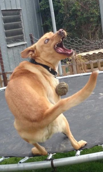 daily picdump 97 pics 3.html - 97 HD Photos | Premium Gallery 2014