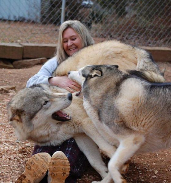 daily picdump 97 pics 3.html - 97 HD Photos | Premium Gallery 2014