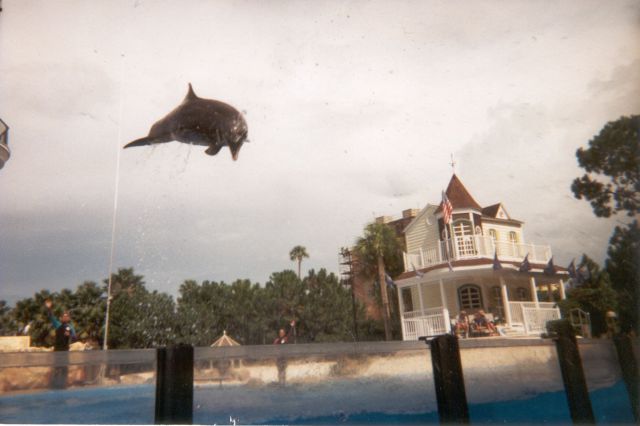 morning picdump 58 pics 17.html - 58 HD Photos | Premium Gallery 2014