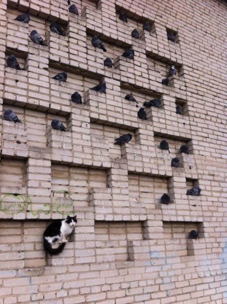 daily picdump 96 pics 19.html - 96 HD Photos | Premium Gallery 2014