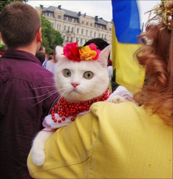 daily picdump 96 pics 19.html - 96 HD Photos | Premium Gallery 2014