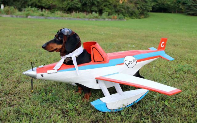 daily picdump 96 pics 19.html - 96 HD Photos | Premium Gallery 2014