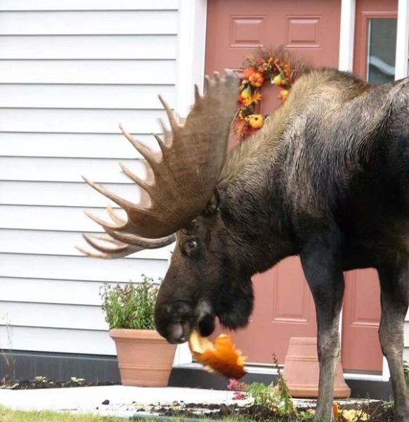 daily picdump 96 pics 19.html - 96 HD Photos | Premium Gallery 2014