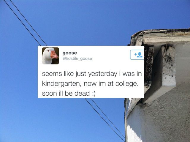 daily picdump 96 pics 19.html - 96 HD Photos | Premium Gallery 2014