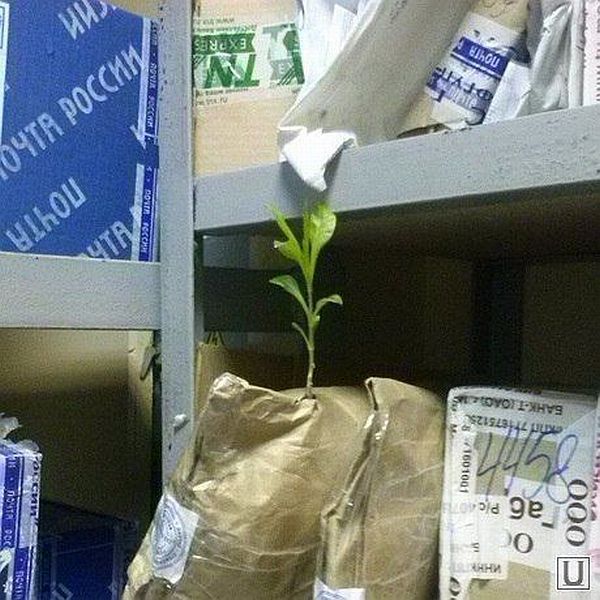 daily picdump 96 pics 19.html - 96 HD Photos | Premium Gallery 2014