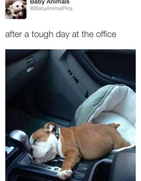 daily picdump 92 pics 22.html - 92 HD Photos | Premium Gallery 2014