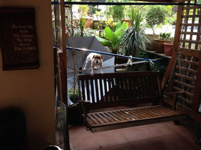 daily picdump 92 pics 22.html - 92 HD Photos | Premium Gallery 2014