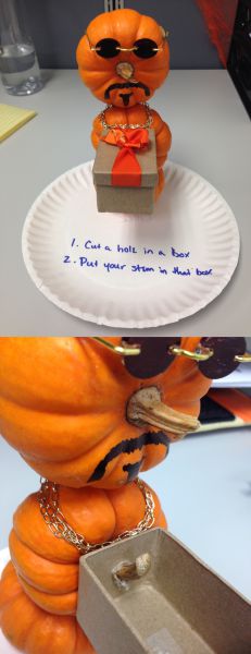 daily picdump 92 pics 22.html - 92 HD Photos | Premium Gallery 2014