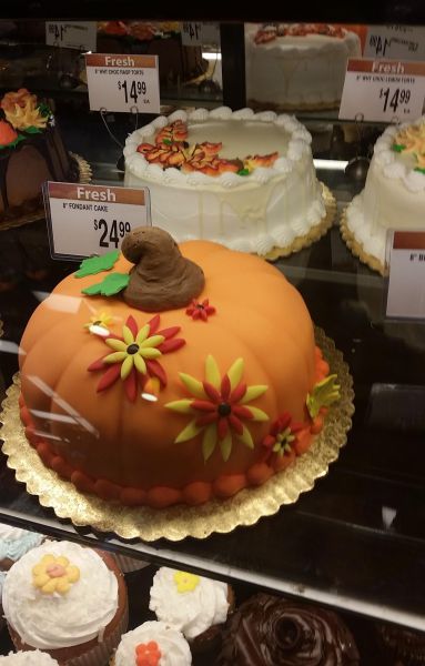 daily picdump 92 pics 22.html - 92 HD Photos | Premium Gallery 2014