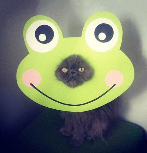 morning picdump 58 pics 28.html - 58 HD Photos | Premium Gallery 2014