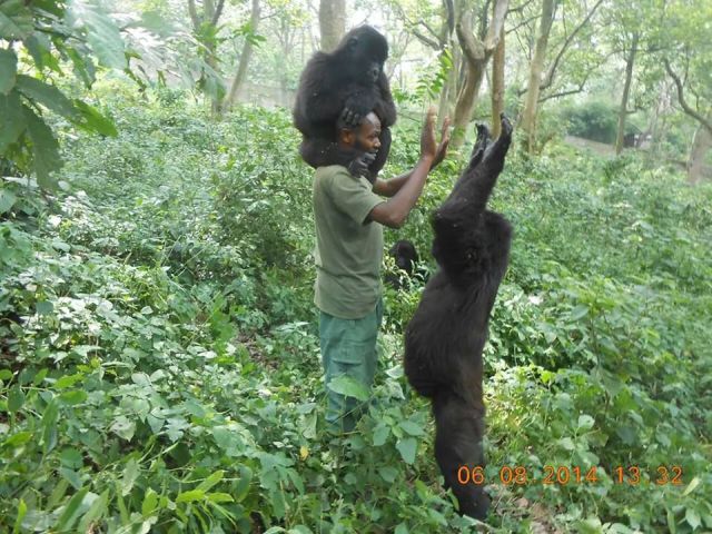 morning picdump 58 pics 14.html - 58 HD Photos | Premium Gallery 2014