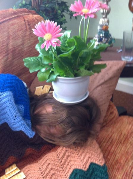 morning picdump 58 pics 14.html - 58 HD Photos | Premium Gallery 2014