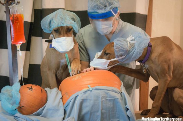 morning picdump 52 pics 1.html - 52 HD Photos | Premium Gallery 2014