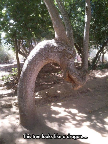 morning picdump 52 pics 1.html - 52 HD Photos | Premium Gallery 2014