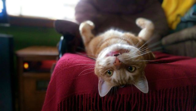 morning picdump 52 pics 1.html - 52 HD Photos | Premium Gallery 2014