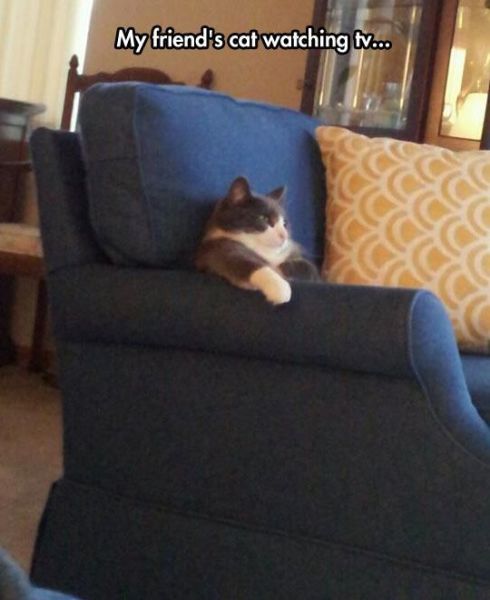 morning picdump 52 pics 1.html - 52 HD Photos | Premium Gallery 2014