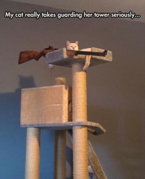 morning picdump 54 pics 18.html - 54 HD Photos | Premium Gallery 2014