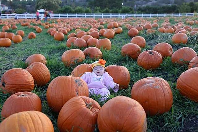 morning picdump 54 pics 18.html - 54 HD Photos | Premium Gallery 2014