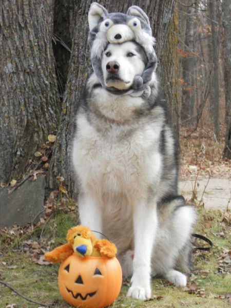 morning picdump 54 pics 18.html - 54 HD Photos | Premium Gallery 2014