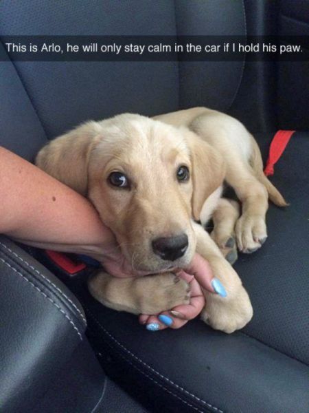 morning picdump 54 pics 18.html - 54 HD Photos | Premium Gallery 2014