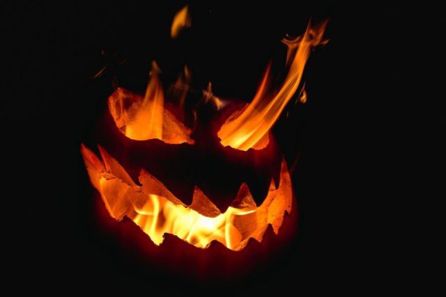 Daily Picdump [WEEKEND EDITION]